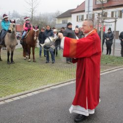 Pferdesegnung 2024_2.jpg